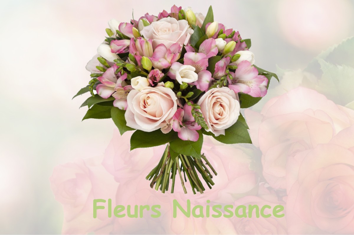 fleurs naissance WIENCOURT-L-EQUIPEE